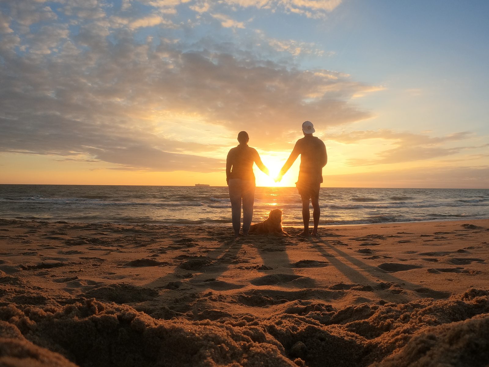 Two people holding hands on the beach at sunset with their dog